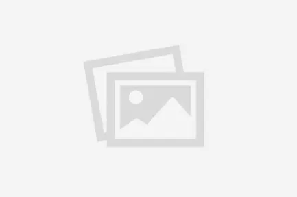 img placeholder