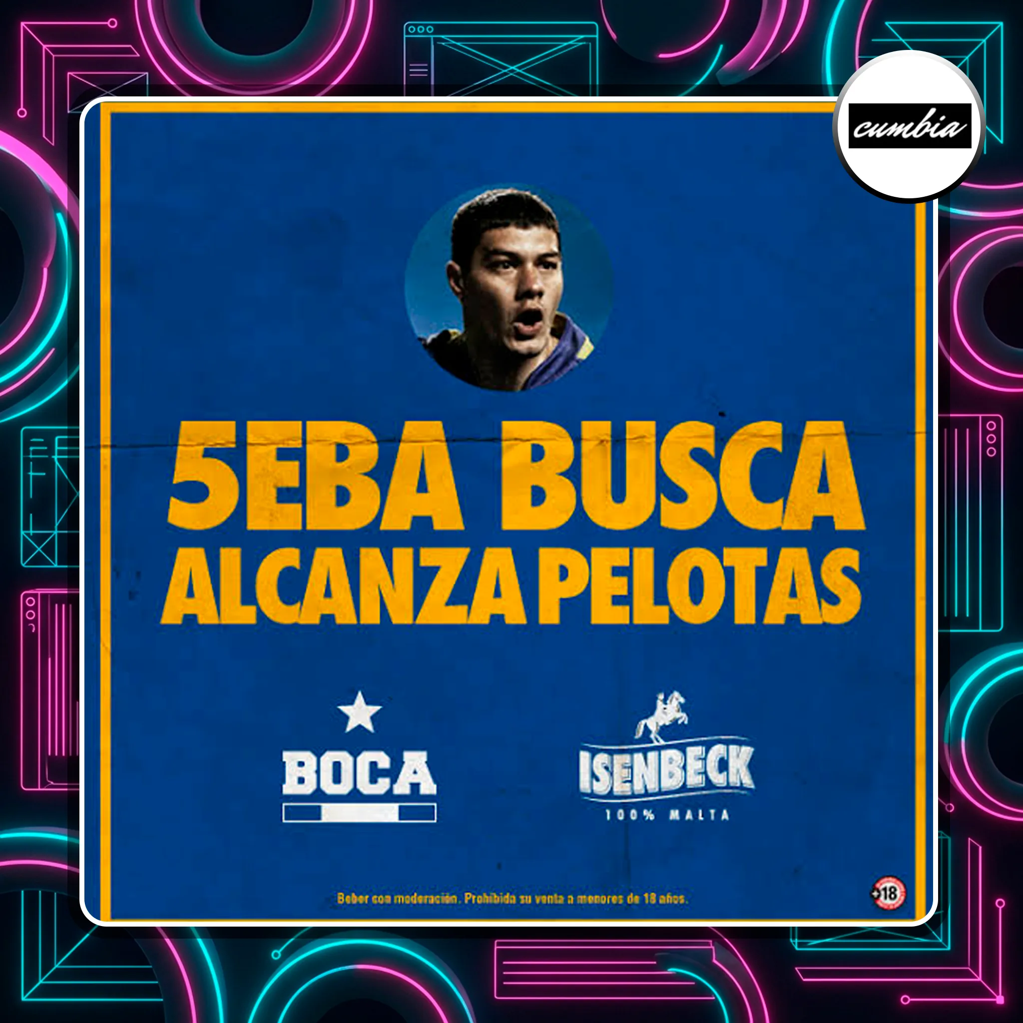 alcanzapelotas